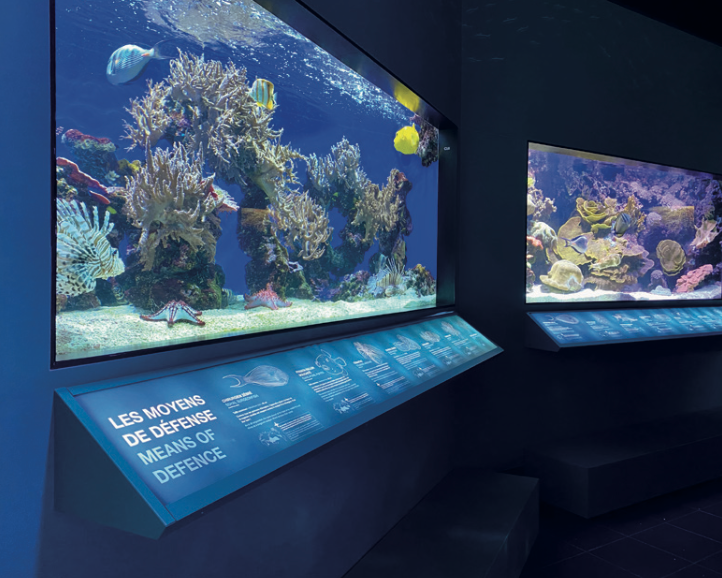 Musée Océanographique de Monaco
