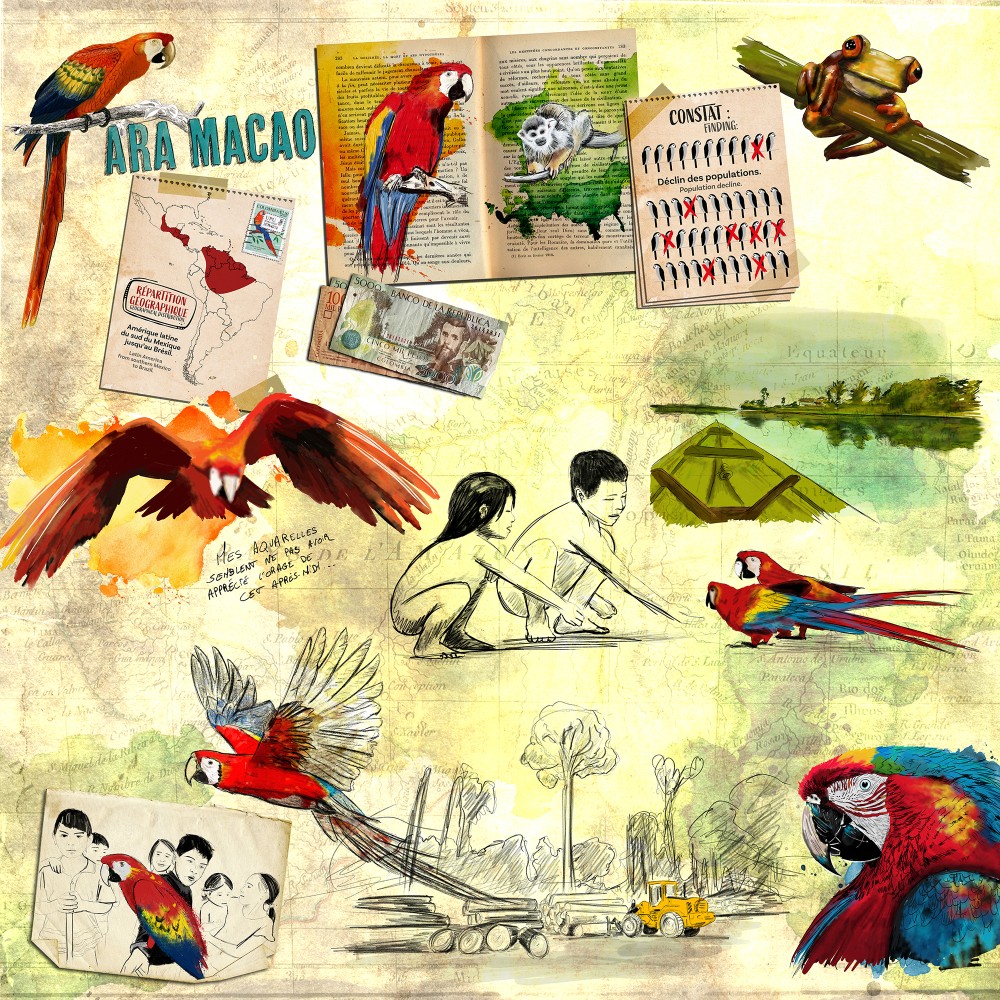 Parc des Oiseaux